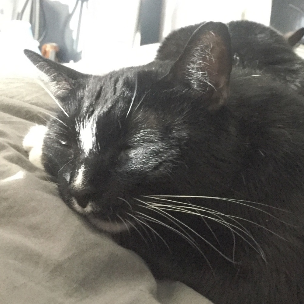 Meet your Posher, Kristen